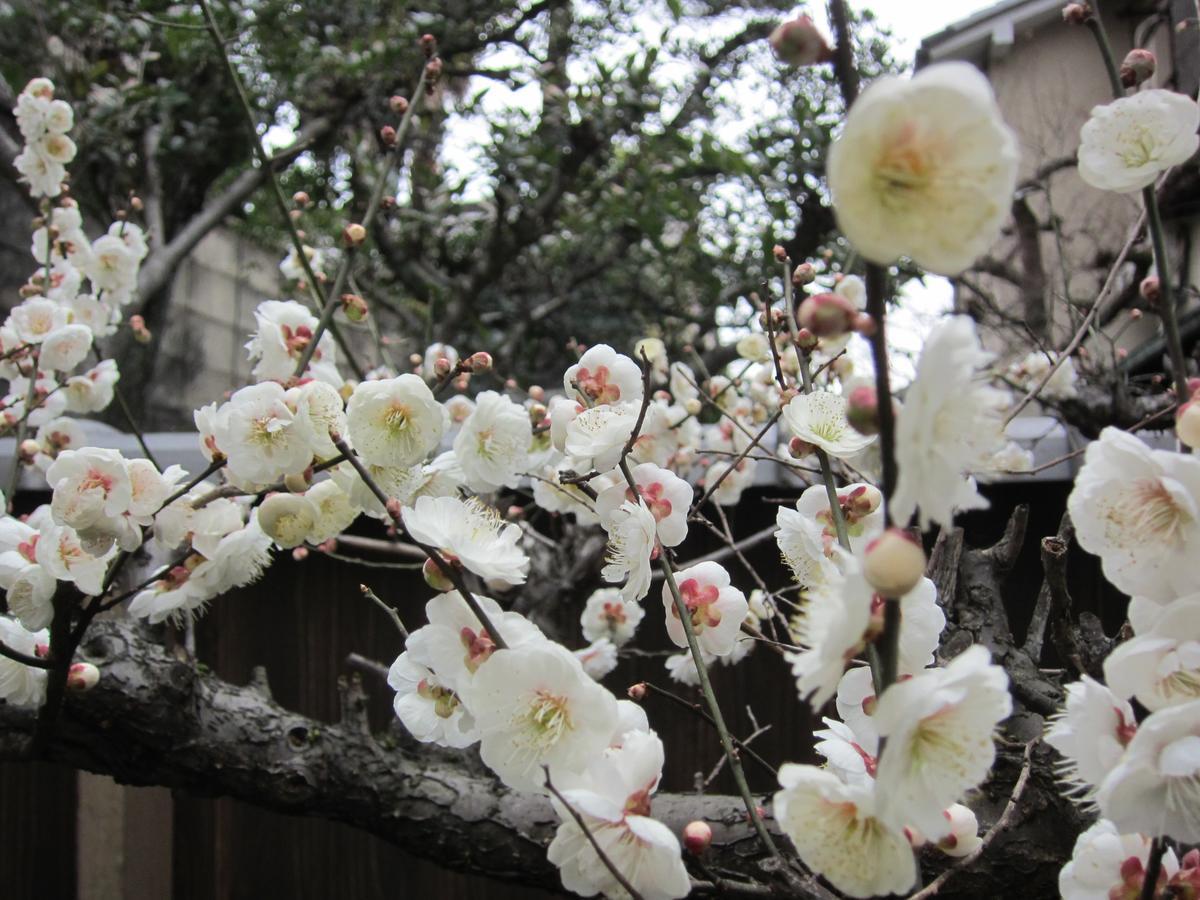 Yadoya Nishijinso Hotel Kyoto Exterior photo